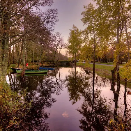 住宿加早餐酒店 Ivy