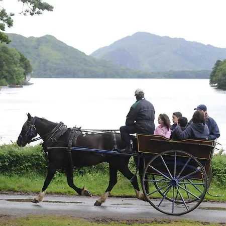 Ivy 住宿加早餐酒店