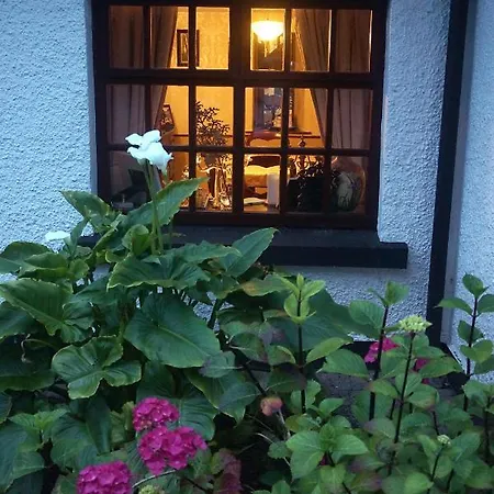 Ivy 住宿加早餐酒店