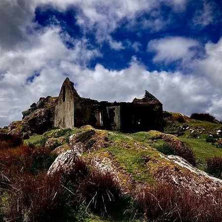 Ivy 住宿加早餐酒店 基拉尼