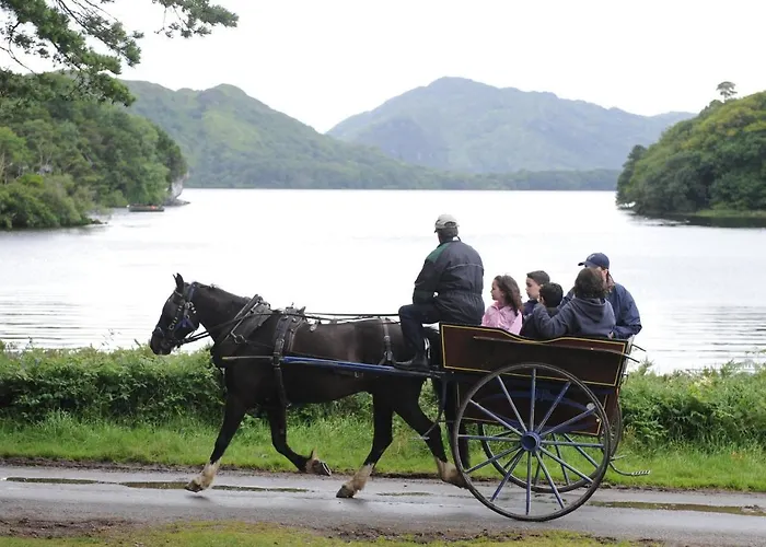 Ivy Отель типа 