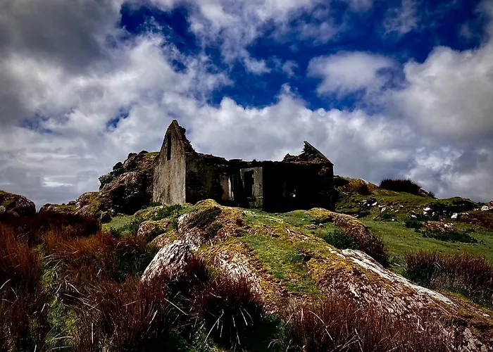 Ivy Отель типа 