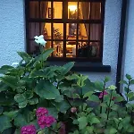 Ivy Bed & Breakfast